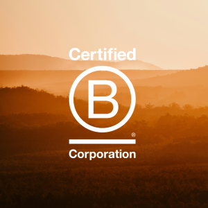 U Ethical celebrates B Corp Month 2025. Image shows B Corp certification logo against orange backdrop.