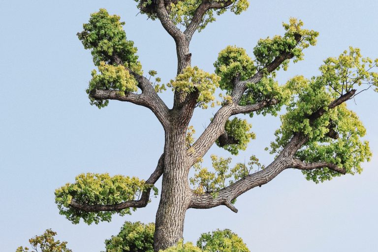 Assessing board quality: a data-led approach